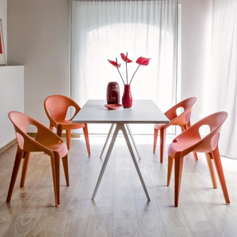 Designer Duo: Bell Duo